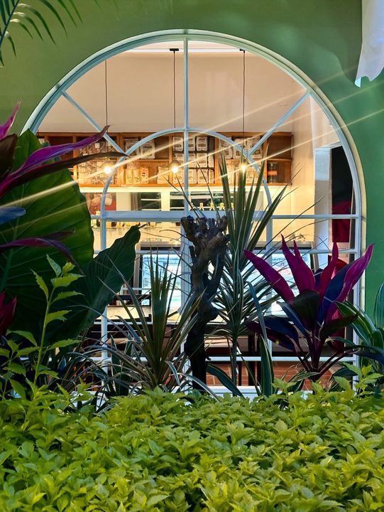Café y jardín